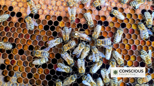 Sweet Success: Why Corporate Gifting is the Nectar for Employee and Client Retention