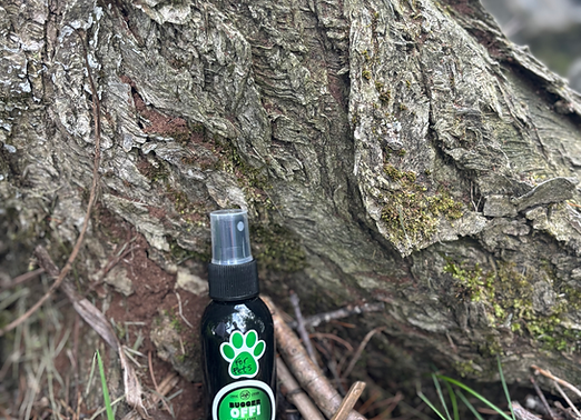 All Nautral Dog Bug Spray