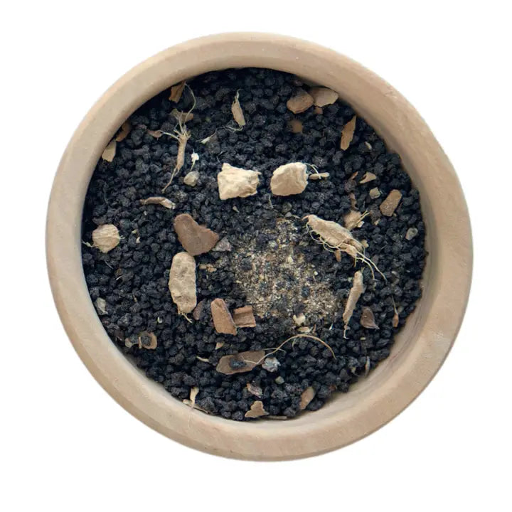 Chai Tea