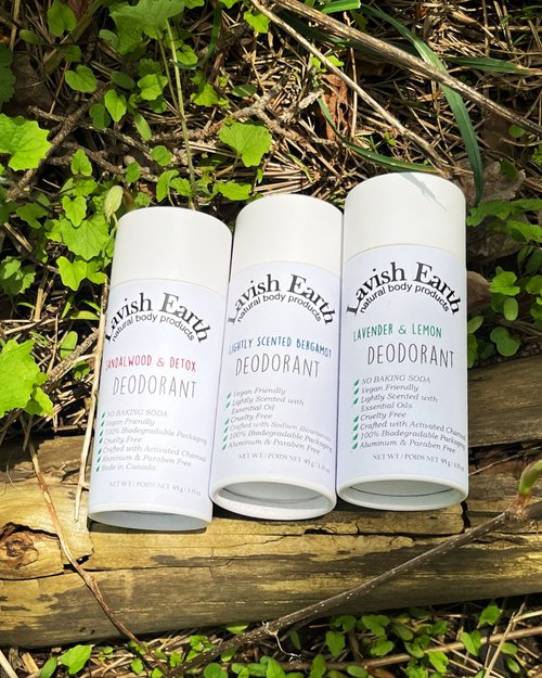 Deodorant in Cardboard Tube