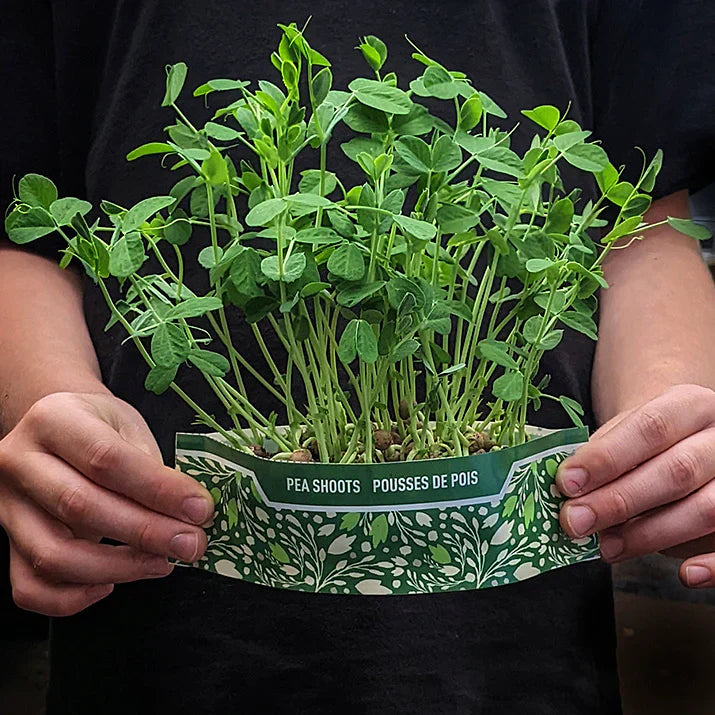 Micro Garden Microgreens Kit - Pea Shoots
