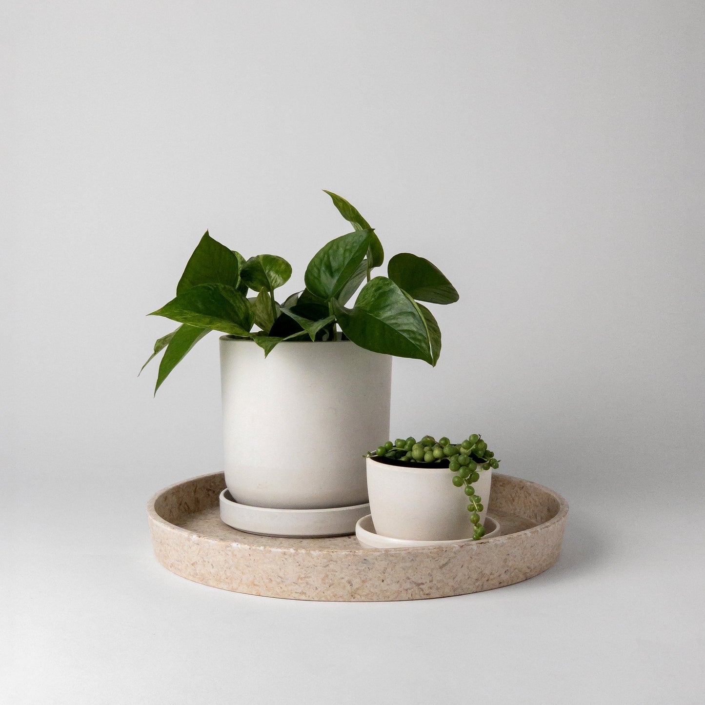 11” Natural Upcycled Decor Trays