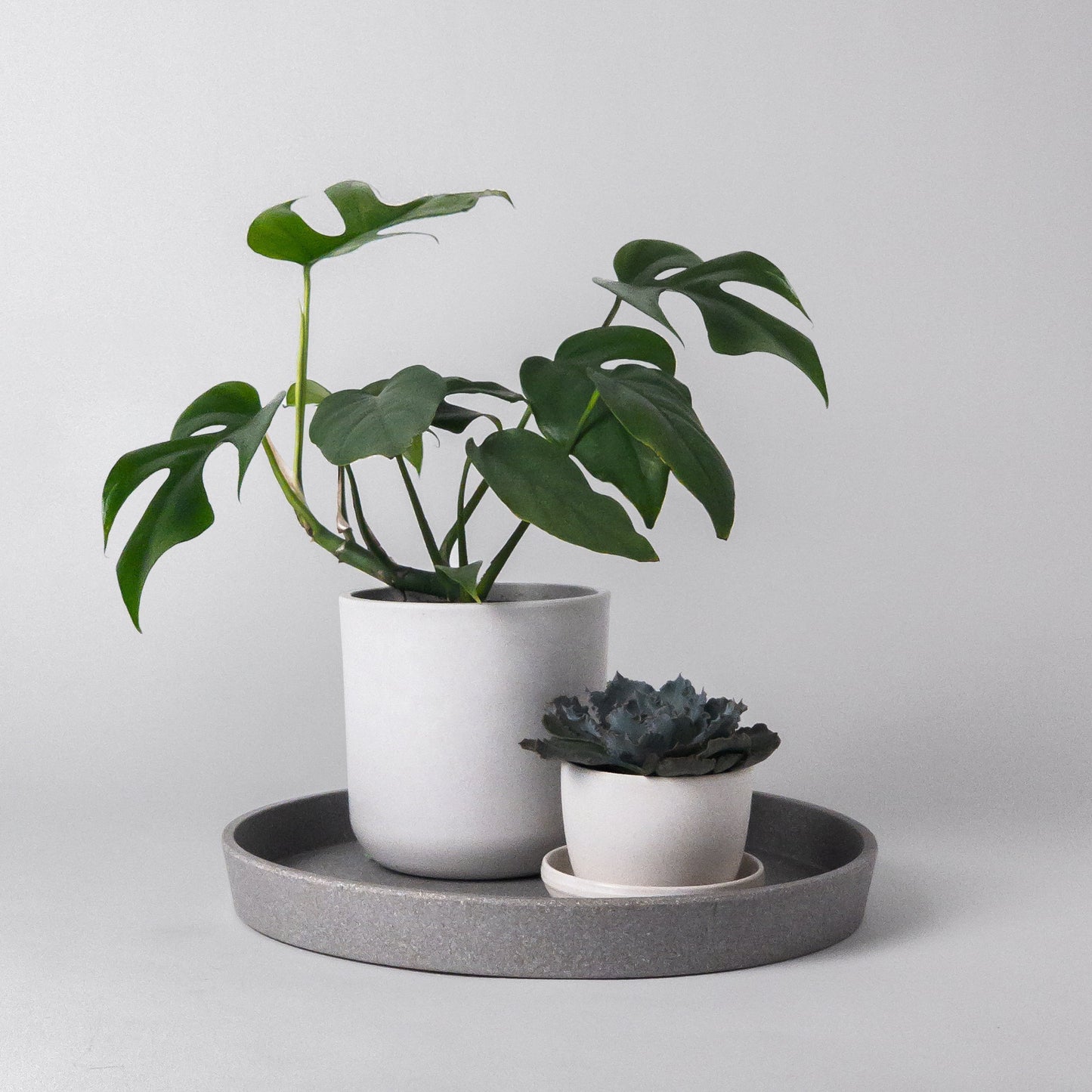 11” Natural Upcycled Decor Trays