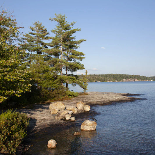 Muskoka Coasters and Trivets