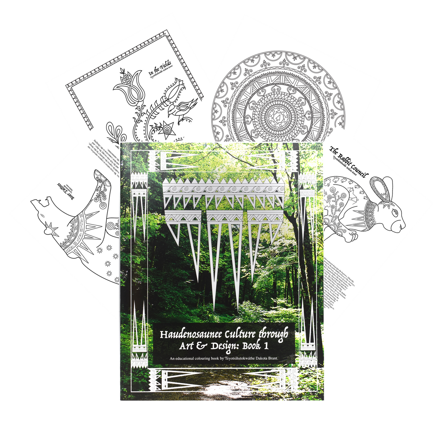 Haudenosaunee Culture through Art & Design: Book 1
