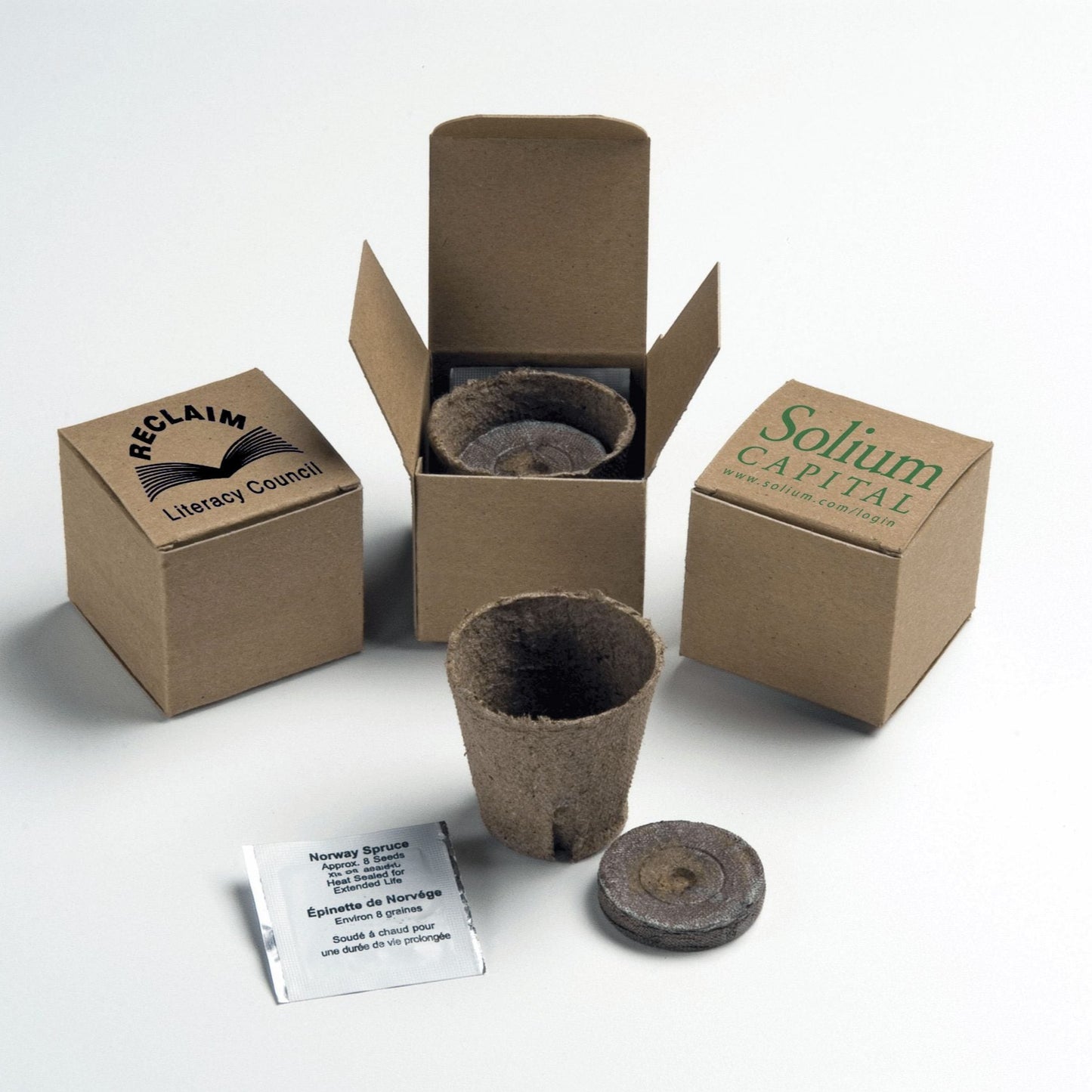Tree In A Recycled Box Kit