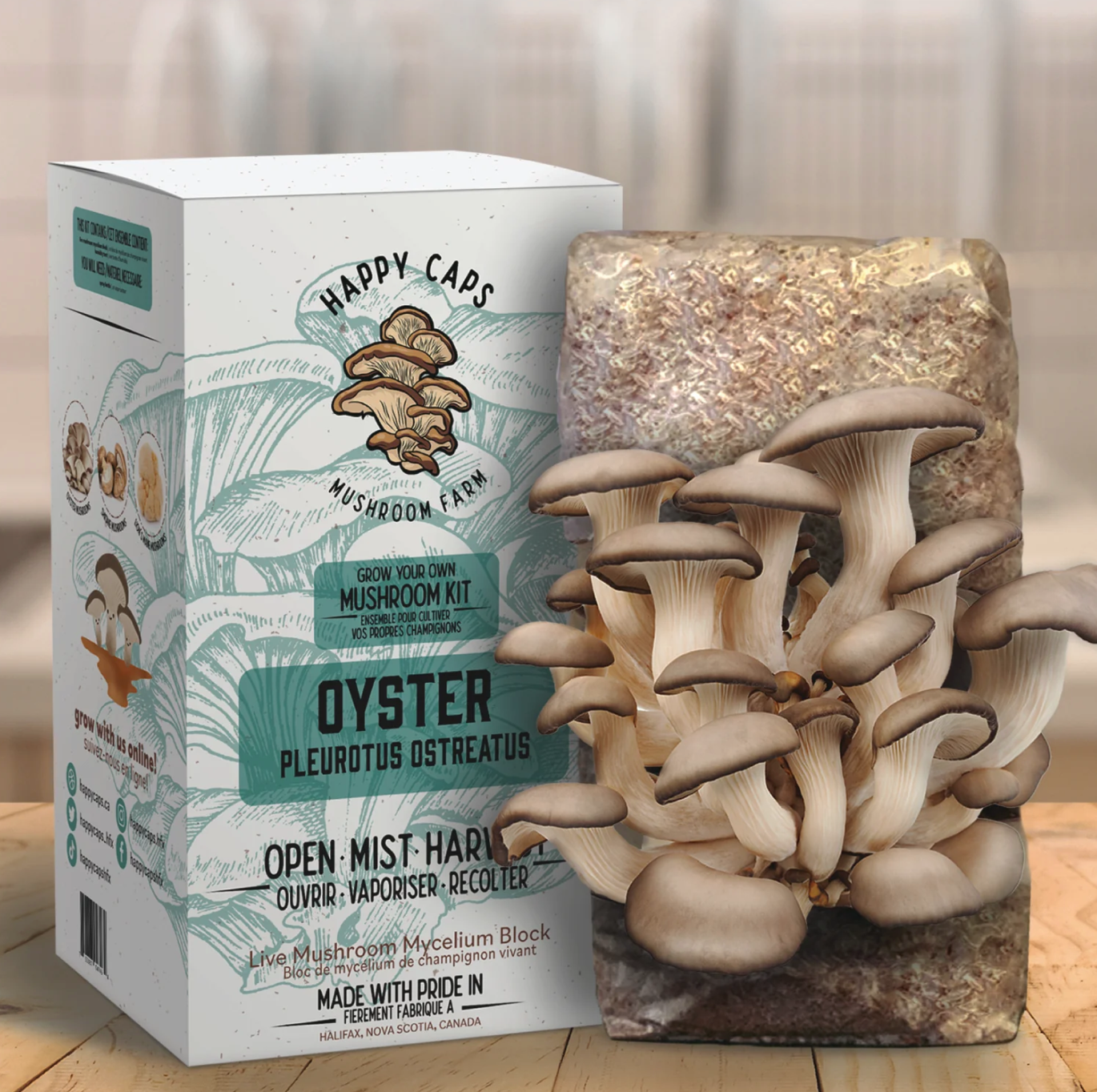 Oyster Mushroom Kit
