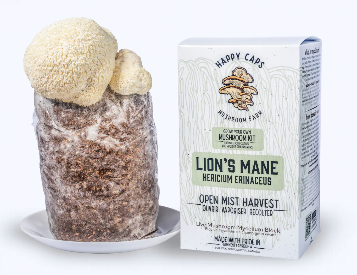 Lion's Mane Mushroom Kit