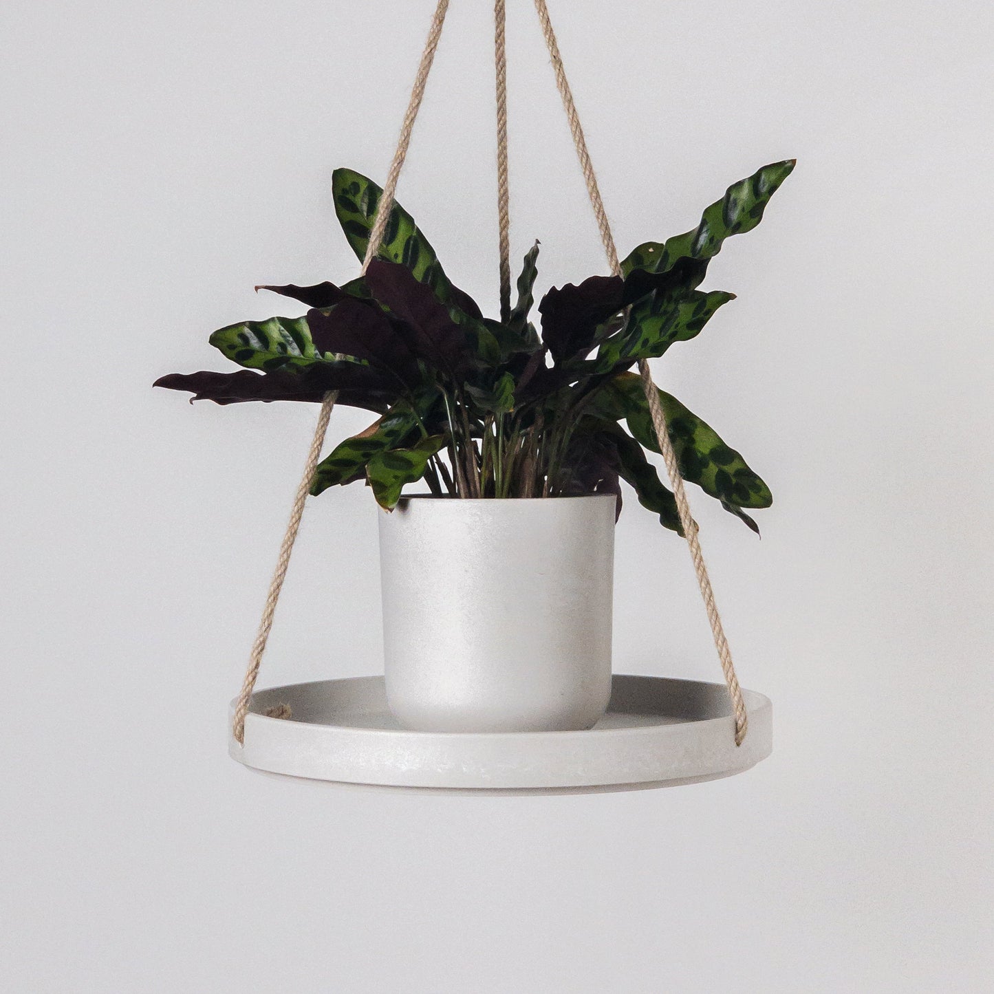 10" Signature Stone Hanging Tray