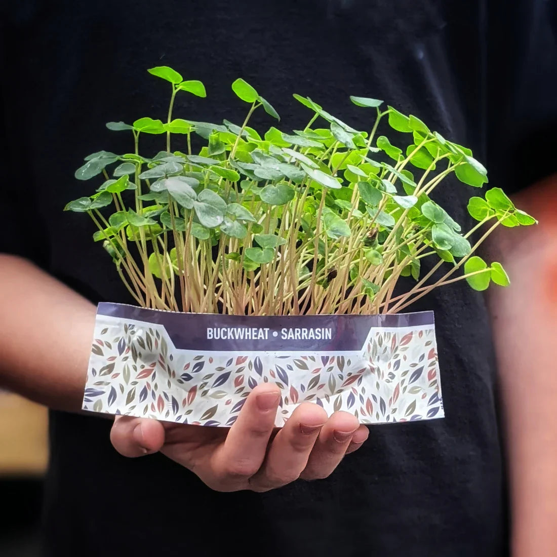 Micro Garden Microgreens Kit Bundle - Broccoli, radish & buckwheat