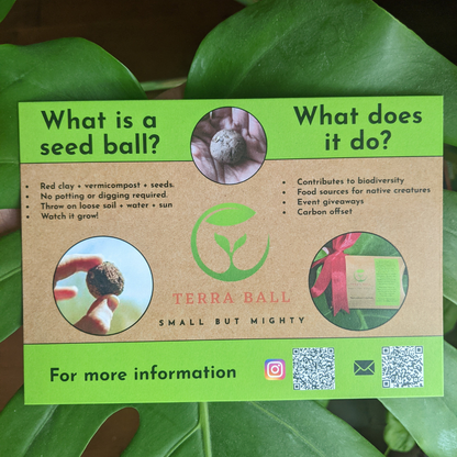 Terra Ball Seed Balls (Brandable)