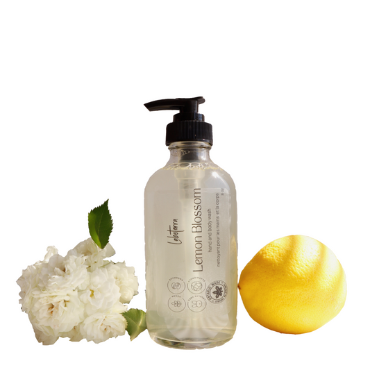 Hand and Body wash