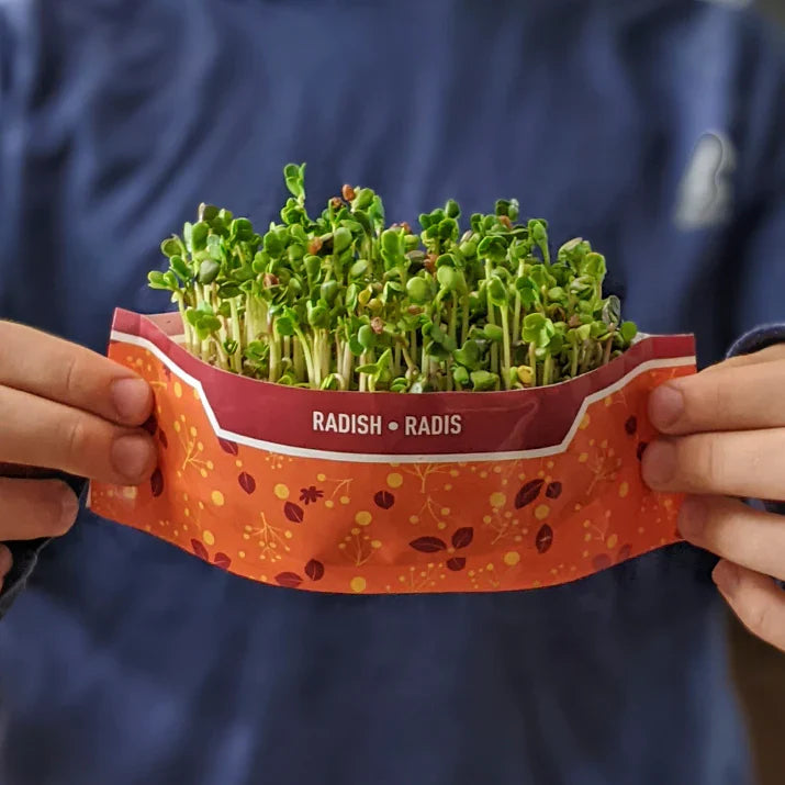 Micro Garden Microgreens Kit - Radish