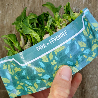 Micro Garden Microgreens Kit - Fava