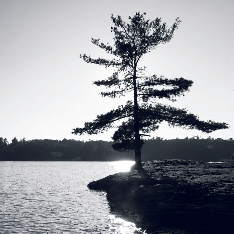 Muskoka Coasters and Trivets