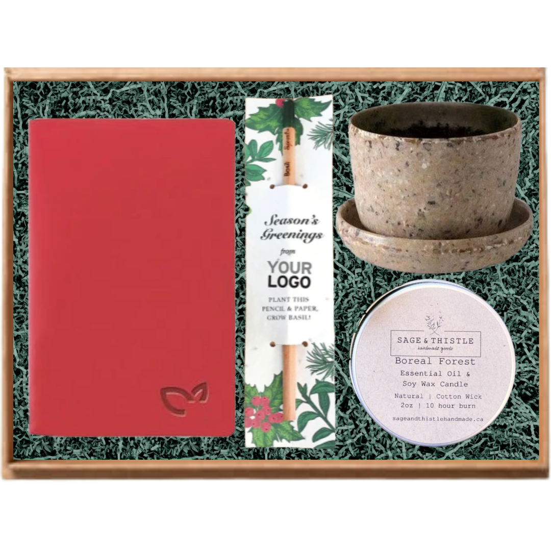 Eco Grow & Glow Bundle