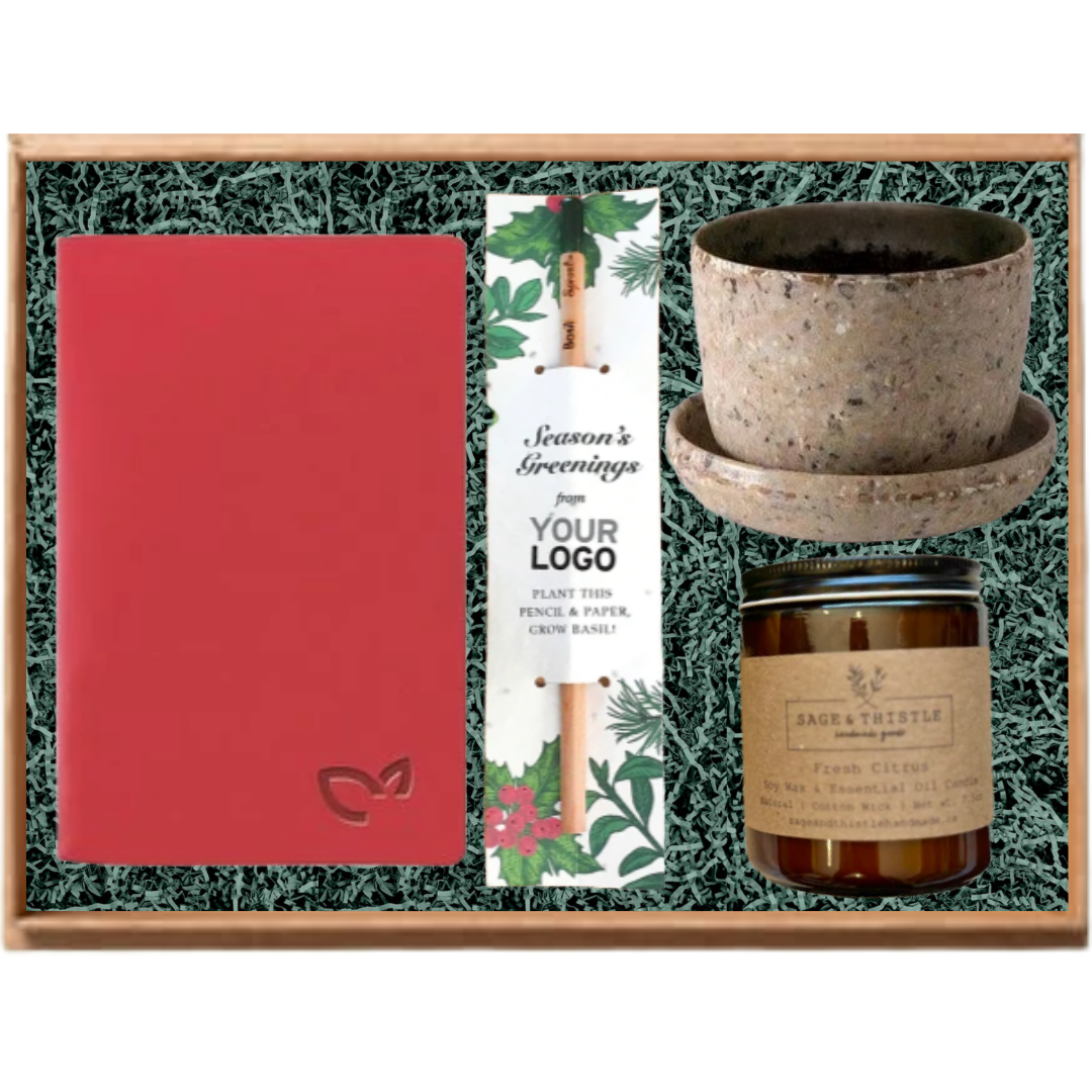 Eco Grow & Glow Bundle