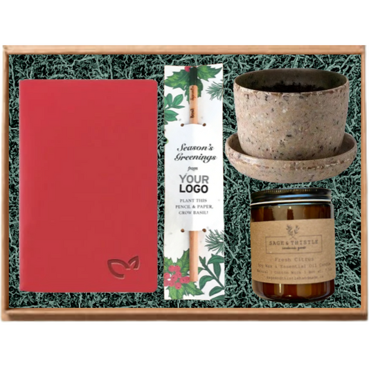 Eco Grow & Glow Bundle