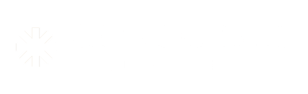 Conscious Collective Corporate Gifting