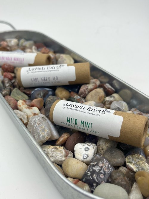 Lip Balm in Cardstock Tube