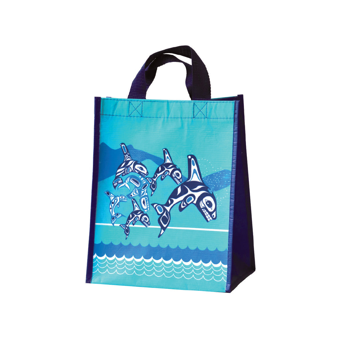 Indigenous Art Eco Bag - Small