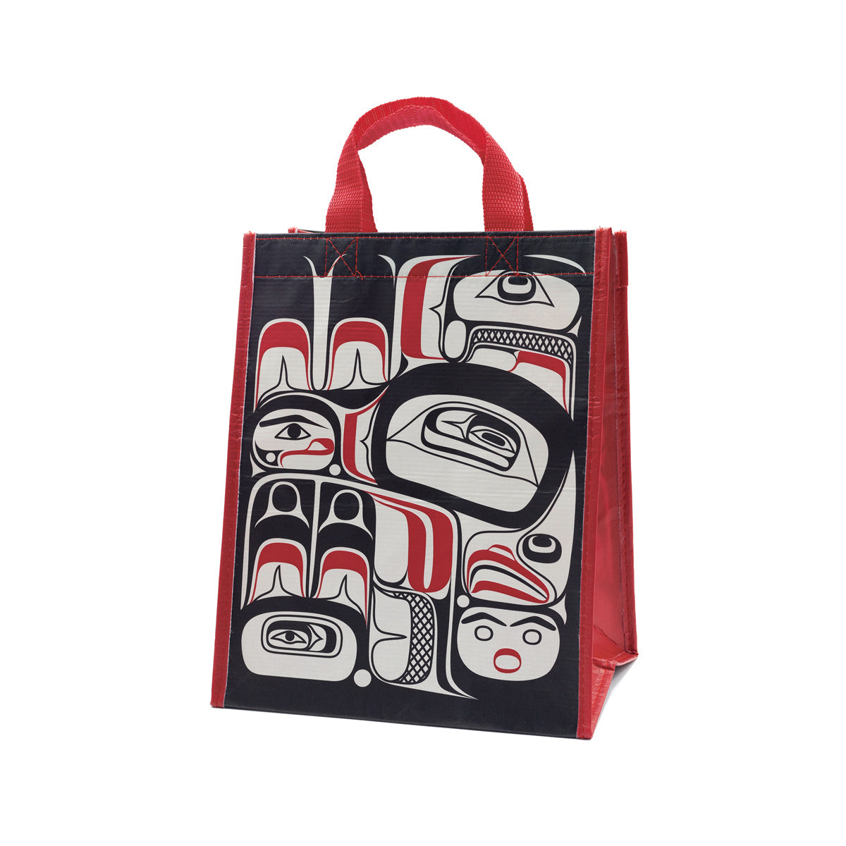 Indigenous Art Eco Bag - Small