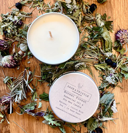 Boreal Forest Essential Oil & Soy Wax Candle