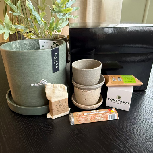 Potted plant, containers, and packaging on a dark surface with visible branding.