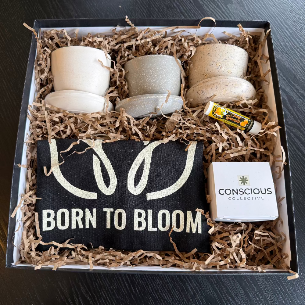 Born to Bloom Plant Starter