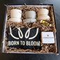 Born to Bloom Plant Starter