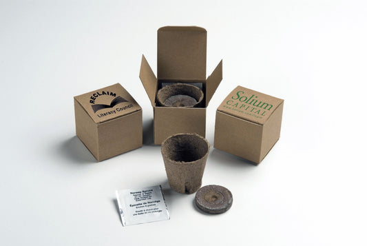 Tree In A Recycled Box Kit