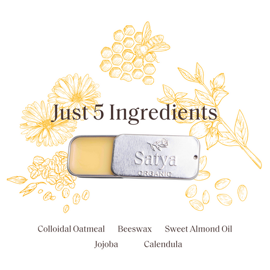 Salve in Travel Tin