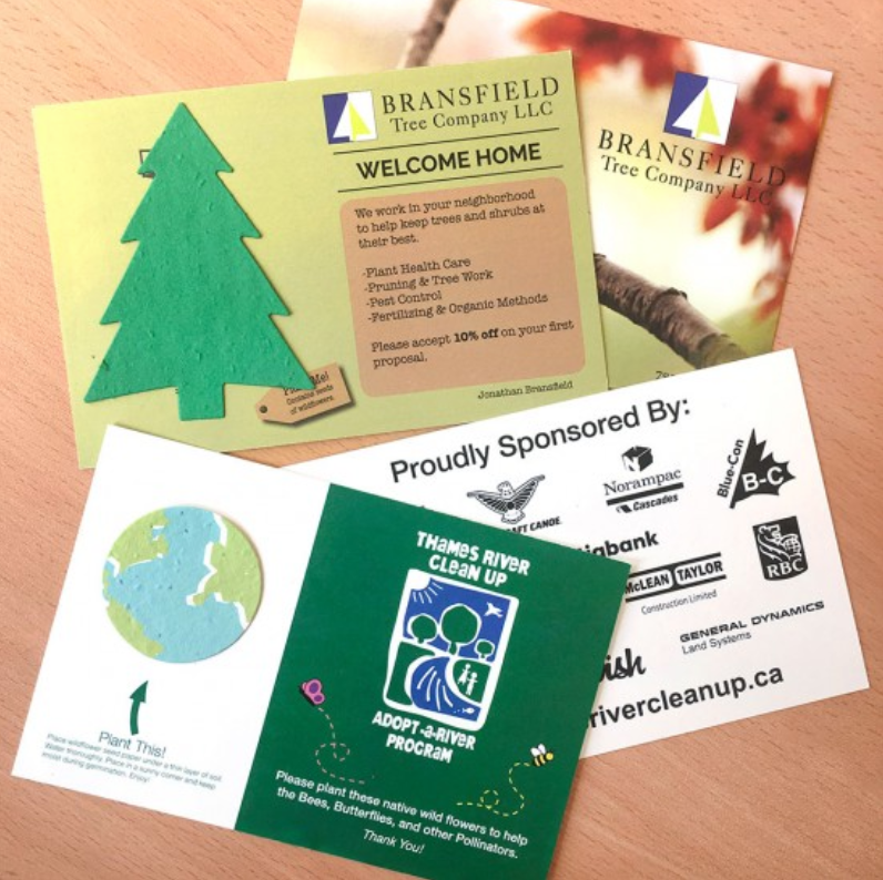 Double-Sided Medium Eco Panel Card With Shape (4" X 6")