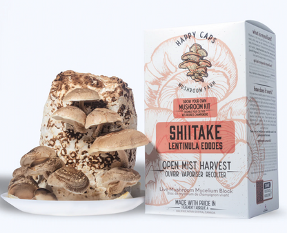 Shiitake Mushroom Kit