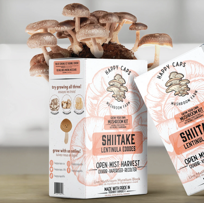 Shiitake Mushroom Kit