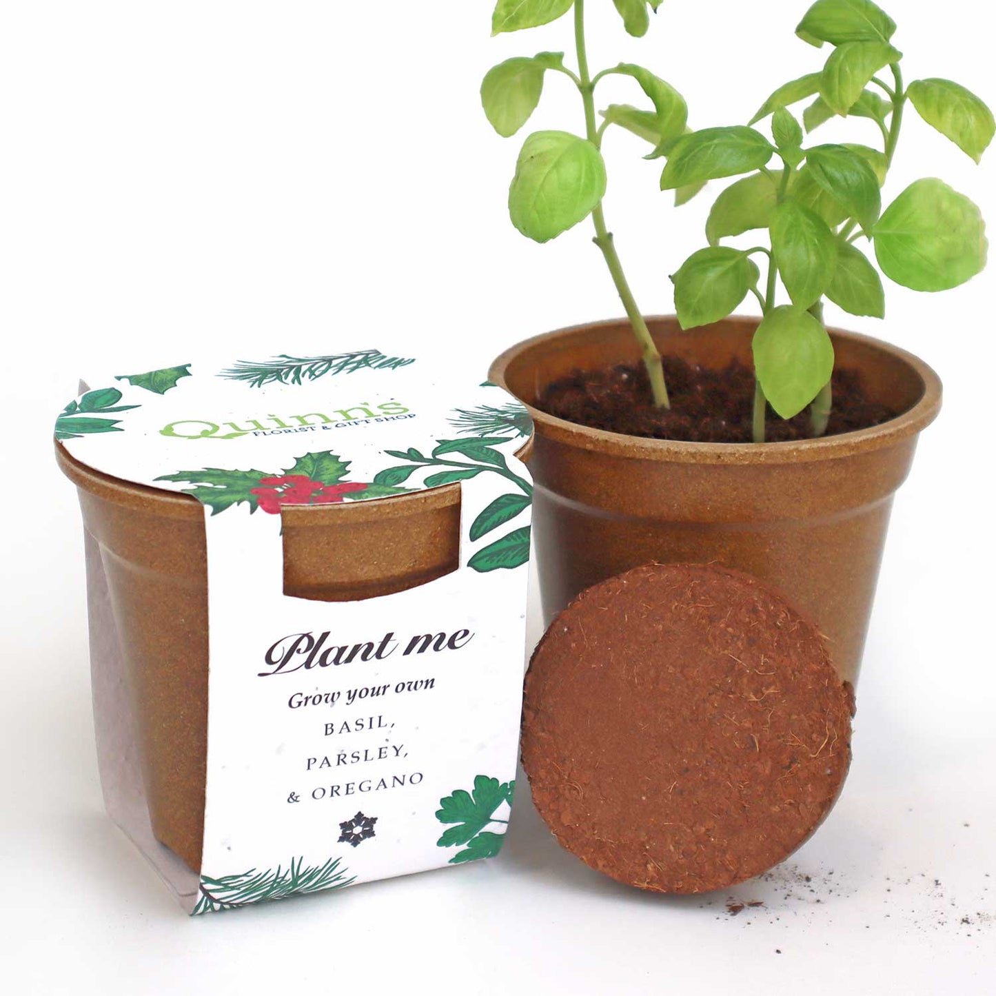 Season’s Greenings - Herb Seed Paper Sprouter Kits