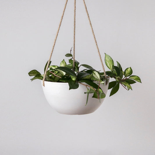 10" Signature Stone Hanging Planter