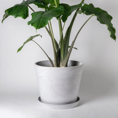 15" | 12" Tapered Signature Stone Planter