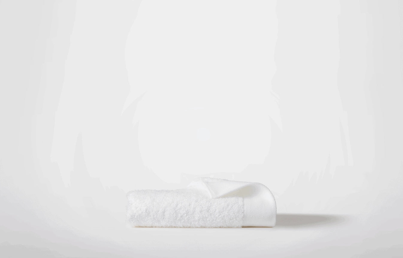 Luxury Classic Terry Hand Towel