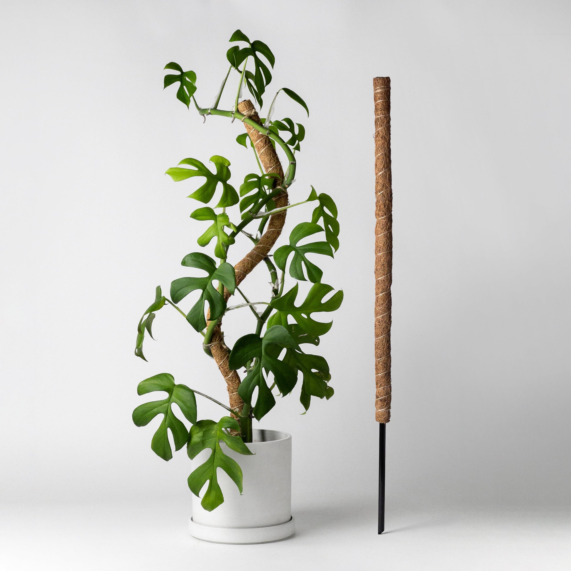 25"/32"/40" Bendable Coco Coir Pole for Plant Support