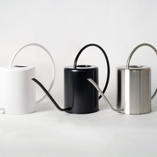 2L Stainless Steel Watering Can